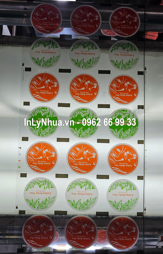 In cuộn màng ép ly nhựa In cuộn màng ép ly nhựa